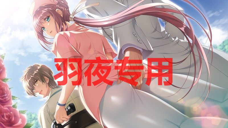 AI智能翻译 夜勤病栋REMAKE / 夜勤病棟リメイク PC端 预览图