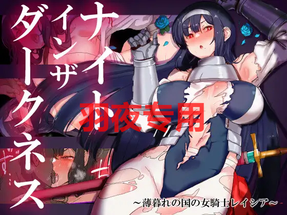 ナイトインザダークネス ～薄暮れの国の女騎士レイシア～ PC端 更新版 预览图