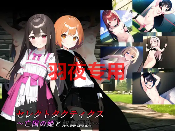 セレクトタクティクス ～亡国の姫と奴隷調教～ Ver1.04 PC端 预览图