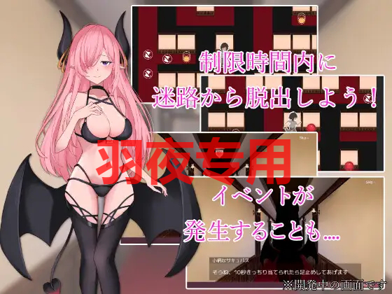 サキュバスの迷宮館 Ver1.1 PC端 预览图
