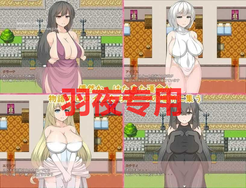 Piece Heroines Ver0.47 PC端 预览图