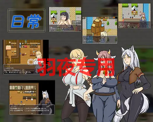 命運的抉擇 V1.1 PC端 官中版 预览图