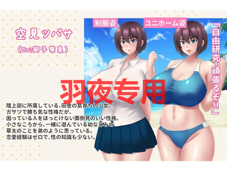 夏休みに堕ちたツバサ Ver1.04 PC端 预览图