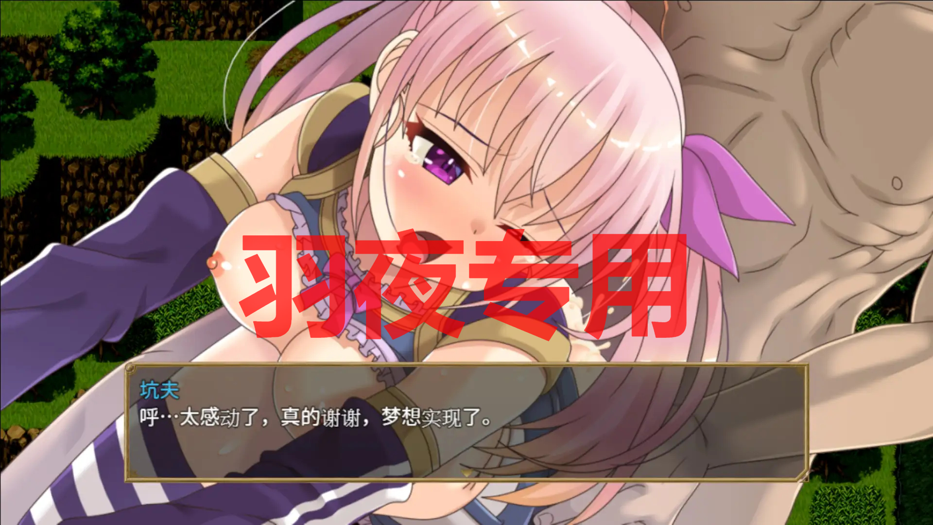 梦想与追忆的复仇 / 夢想と追憶のエクディキス PC端 汉化版 预览图