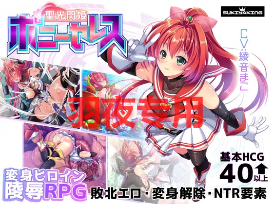 聖光閃姫ポニーセレス Ver1.03 PC端 预览图