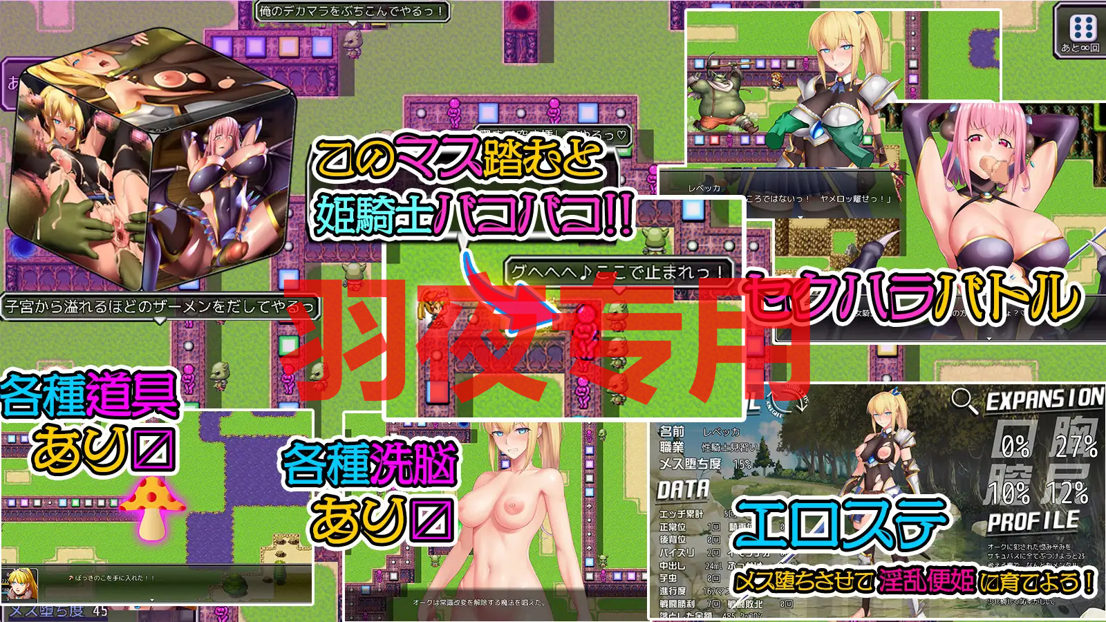 すごろく迷宮 サキュバスの罠 PC端 更新版 预览图