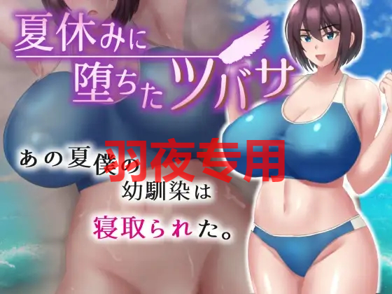 夏休みに堕ちたツバサ Ver1.04 PC端 预览图
