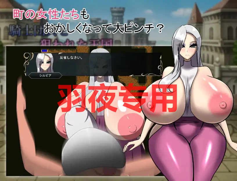 AI智能翻译/新作 騎士団兵と狙われた王国 Ver.1.1.0 PC端 预览图