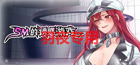 STEAM官中/新作 SM的诱惑游戏 V1.01 PC端 官中版 预览图