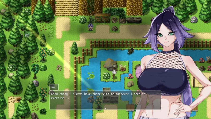 堕落女忍 ~情感波折隐村~ V1.1.5官中汉化 PC端 官中版 预览图