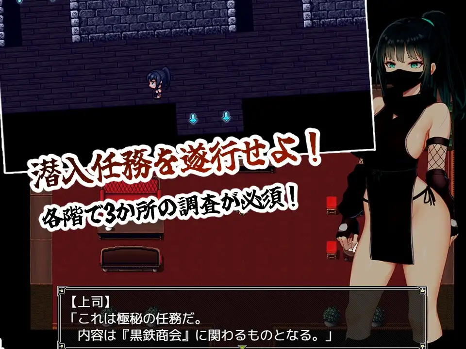 风魔枫华/風忍フウカ PC端 AI汉化更新版 预览图