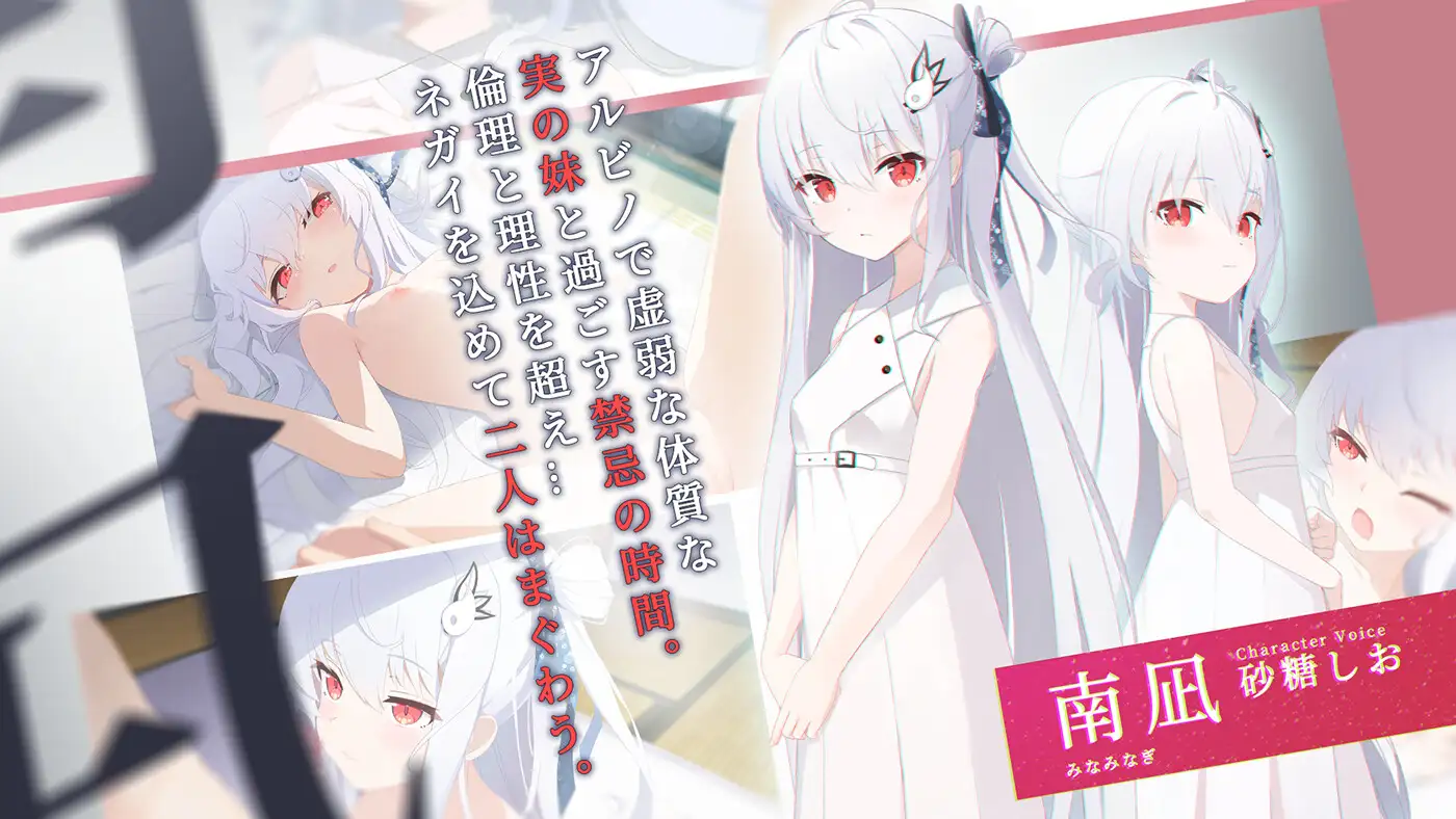 只愿/カタネガイ Ver1.01 精翻汉化版 PC端 预览图