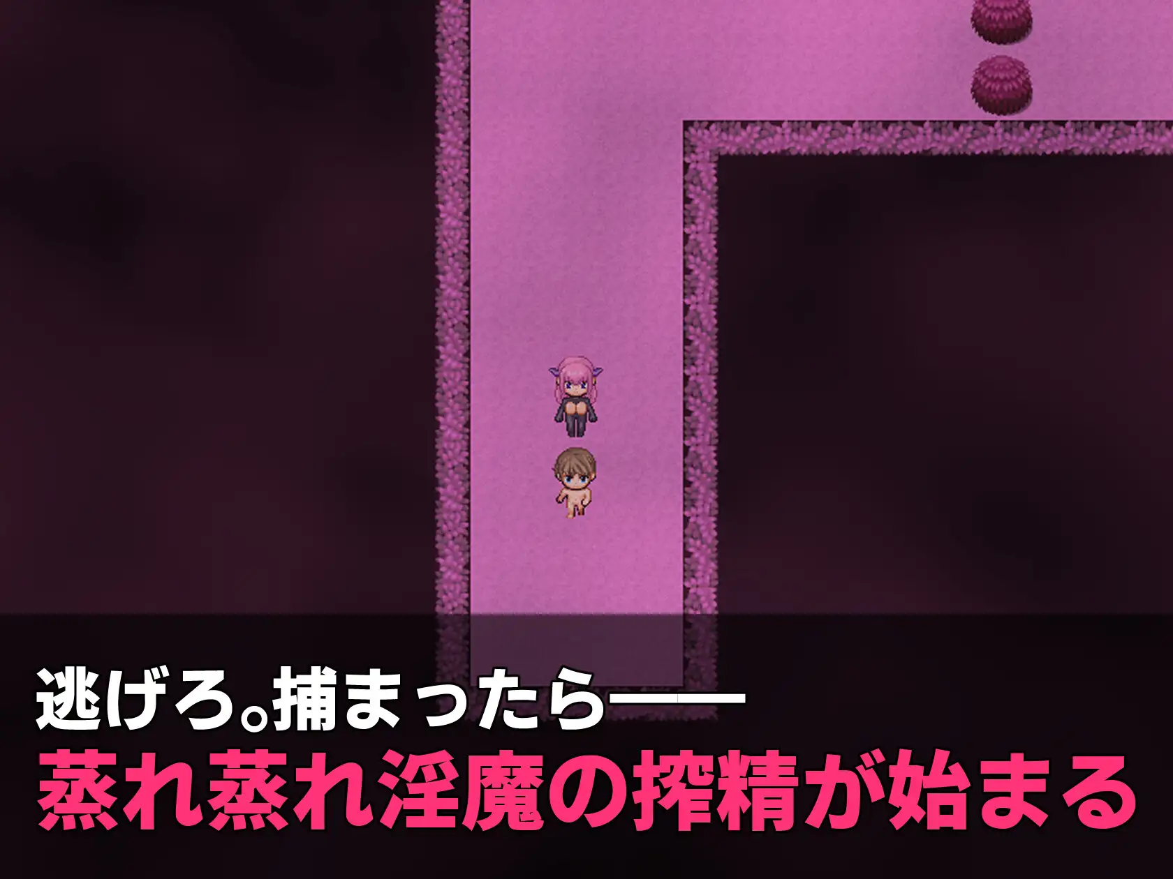 魅魔えすけーぷ！～蒸れっ蒸れの森からの脱出～ v1.0.1 PC端 AI汉化版 预览图