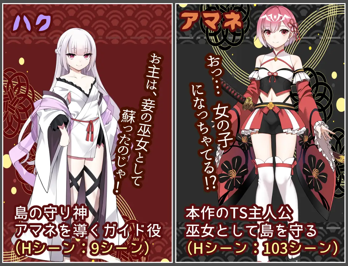 白龍ノ巫女と神宿りの禍ツ島 PC端 AI汉化版 预览图