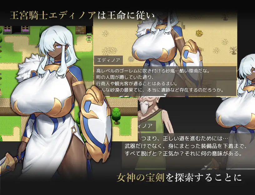 王宫骑士的决意 王宮騎士のデタミネーション PC端 AI汉化更新版 预览图