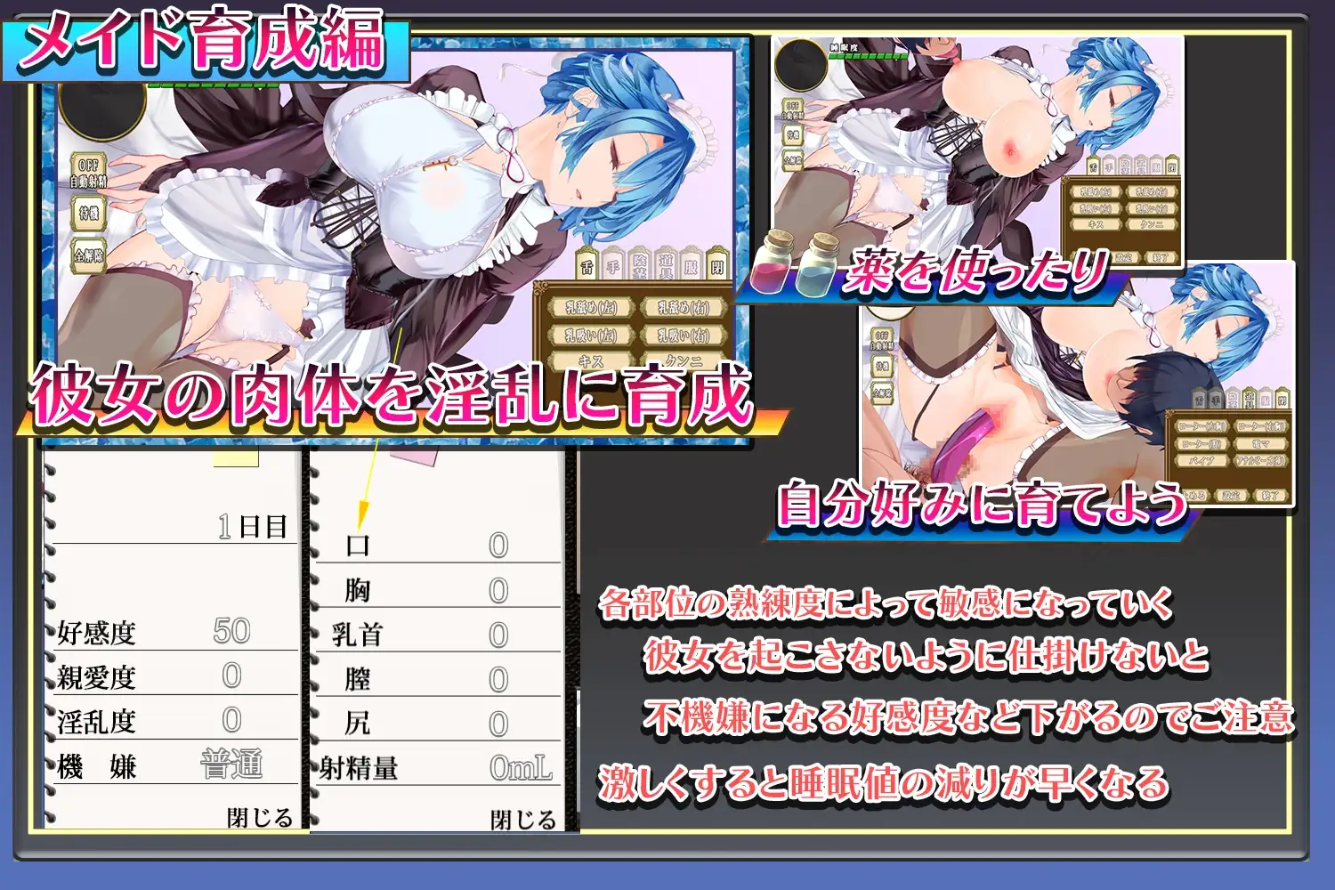 女仆总是在主人身旁 メイドはいつもご主人様の隣に Ver24.05.28 PC端 AI汉化版 预览图