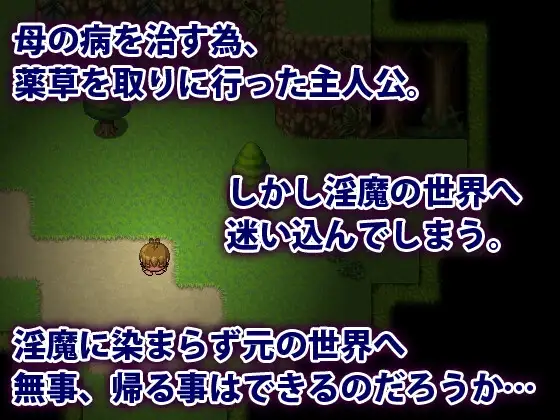 魅魔界に堕ちたボク Ver.24.09.16 PC端 AI汉化版 预览图