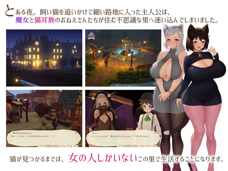 精品RPG/汉化 魔女与猫的桃源乡/魔女と猫の隠れ里Ver1.01 官方中文版 PC端 官中完整版 预览图