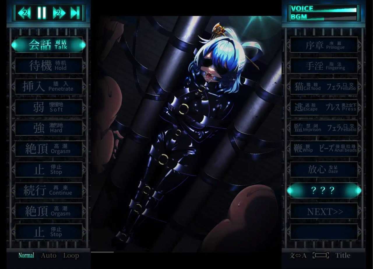 惩罚少女R/おしおき娘々R Ver1.2+动画集 PC端 预览图