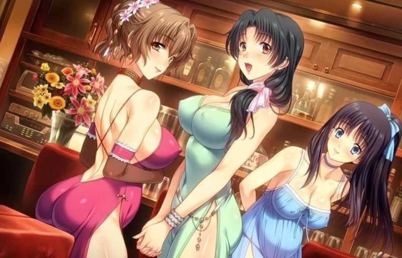 妻中蜜3/妻みぐい3 Ver0.801 润色汉化版+攻略+特典2部 PC端 预览图