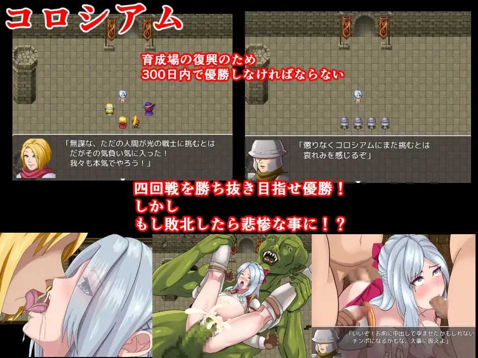 绝代骑士艾利露 完整精翻汉化版 双端 预览图
