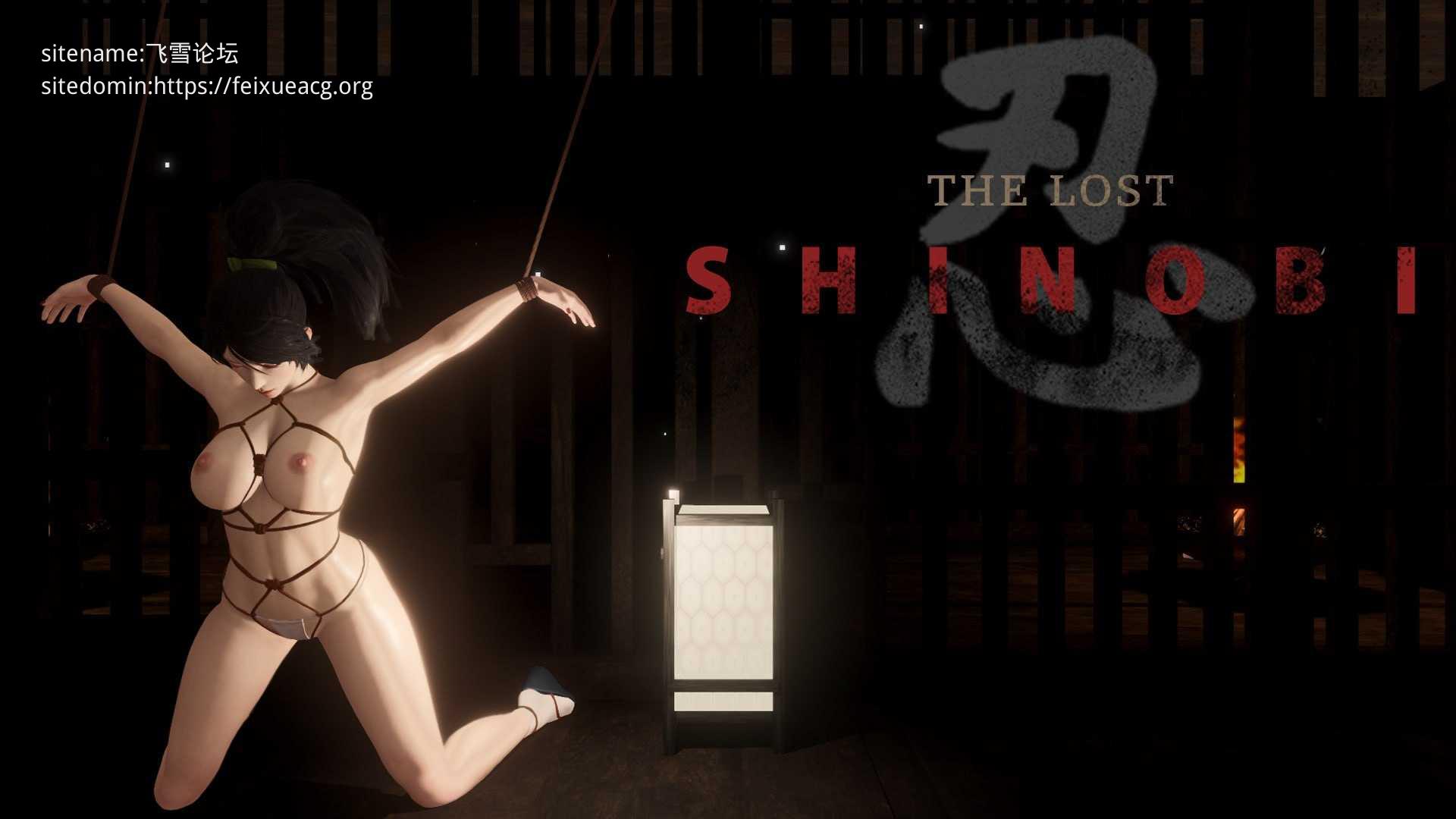 失落忍者 ▫️ The Lost Shinobi ▫️ v0.1.35 ▫️ PC端 官中无码 预览图