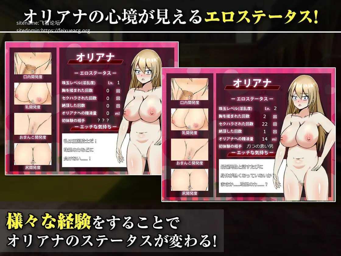 王国的勇骑士奥莉安娜/王国の勇騎士オリアナ PC端 AI汉化版 预览图