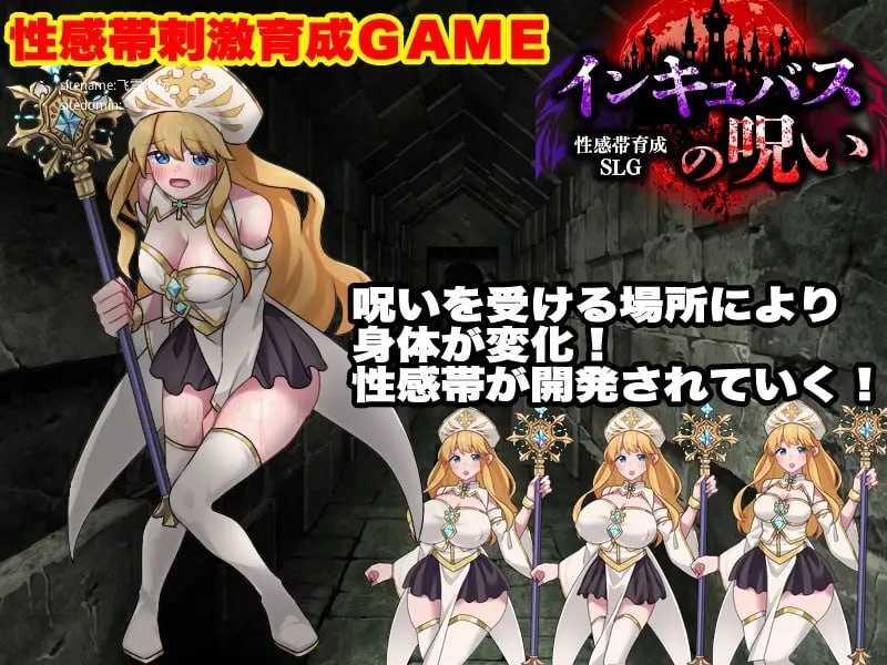性感带育成SLG 魅魔的诅咒/性感帯育成SLG インキュバスの呪い PC端 AI汉化版 预览图