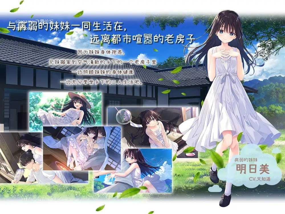 痴情哥哥与病弱妹妹的乡间生活 ▫️ エッチで一途なド田舎兄さまと、古式ゆかしい病弱妹 ▫️ DL版 + STEAM版 ▫️ PC端 官中无码 预览图