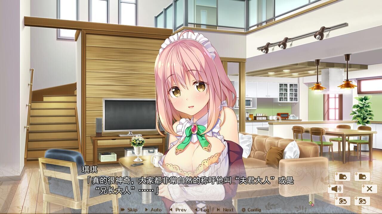 多角色关系王国FD1 光-索菲娅-琪琪篇 精翻汉化版 PC端 汉化完整版 预览图