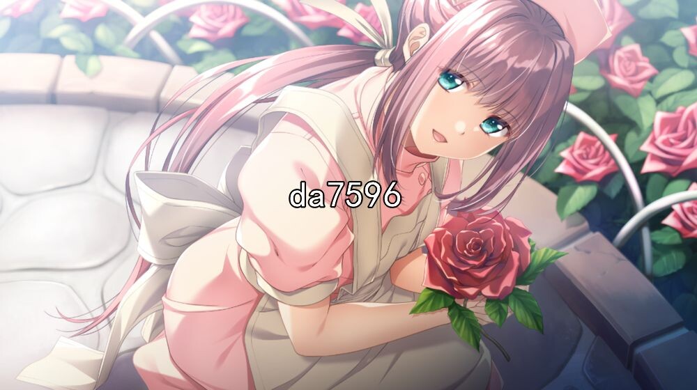 夜勤病栋 REMAKE AI机翻润色版 PC端 完整版 预览图