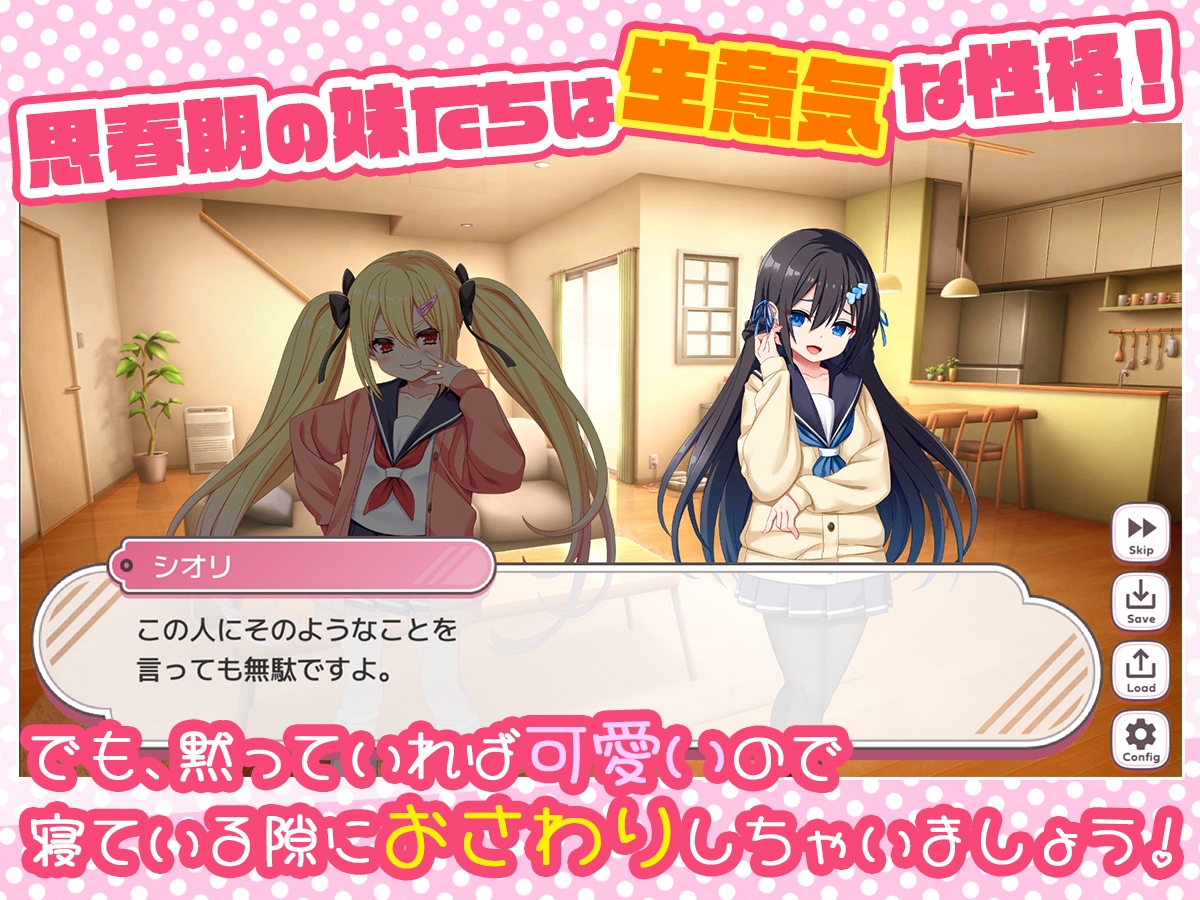 熟睡小恶魔/ざぁ～こなしまいとすやすやえっちっち Ver1.0 PC端 预览图