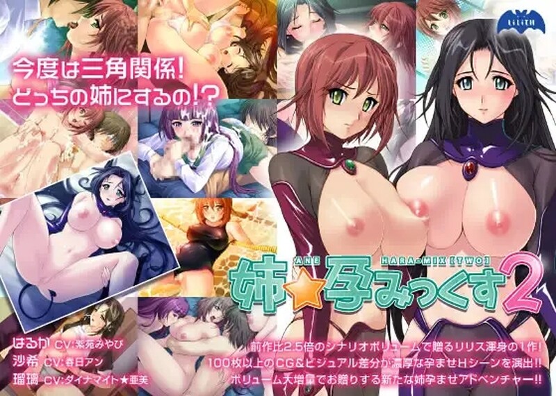 拔作ADV/2C 姐姐怀孕2（姉☆孕みっくす2）V1.0 PC端 AI汉化完整版 预览图