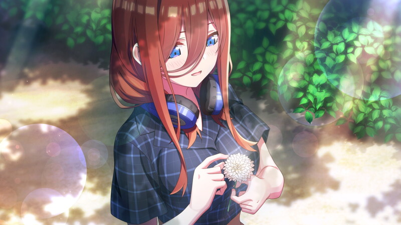 拔作ADV/纯爱泳装/2C 五等分的新娘 ～夏日回憶也是五等分～ V1.0 STEAM官中 PC端 官中版 预览图