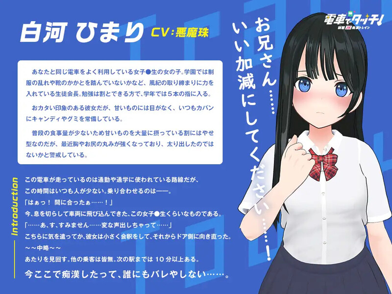 DL3月新作【互动SLG/3D作品/全动态/生肉】在电车上触碰！ 制服JK痴汉列车（電車でタッチ!制服JK痴漢トレイン）V1.0 原版生肉 PC端 日文原版 预览图