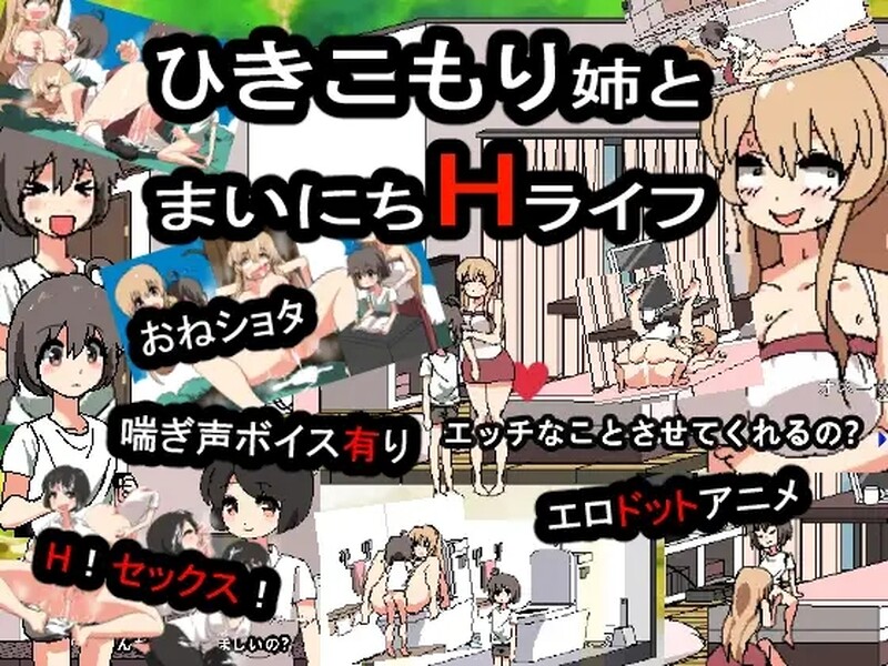 互动SLG/同居生活/像素动态2C 和家里蹲死宅女姐姐的エロ生活（ 引きこもり姉とまいにちHライフ）正式完整版 DL原版 PC端 预览图