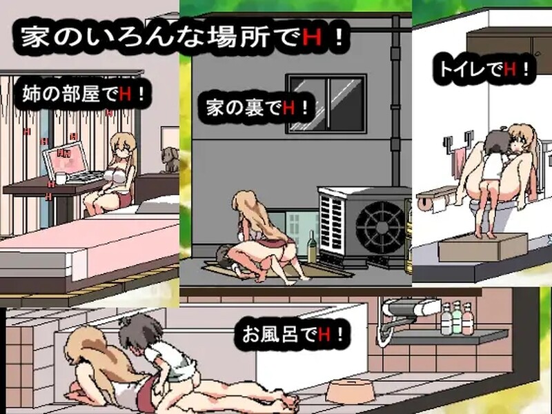 互动SLG/同居生活/像素动态2C 和家里蹲死宅女姐姐的エロ生活（ 引きこもり姉とまいにちHライフ）正式完整版 DL原版 PC端 预览图