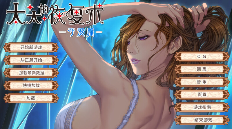 太太的恢复术-纯爱篇+夺爱篇-V1.02-(官中 PC端 官中版 预览图