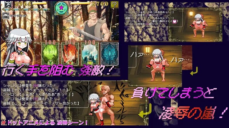 白龙巫女与漆黑骑士 白龍の巫女と漆黒の騎士 Ver1.01 机翻版 PC端 预览图