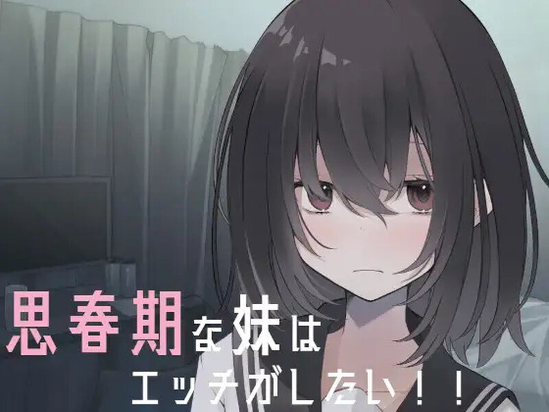 思春期的妹妹想要色色的！（思春期な妹はエッチがしたい!）V1.0 内置AI汉化 PC端 AI汉化版 预览图