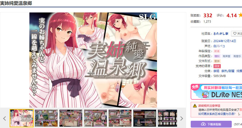 实姐纯爱温泉乡（実姉純愛温泉郷）V1.0 PC端 AI汉化版 预览图