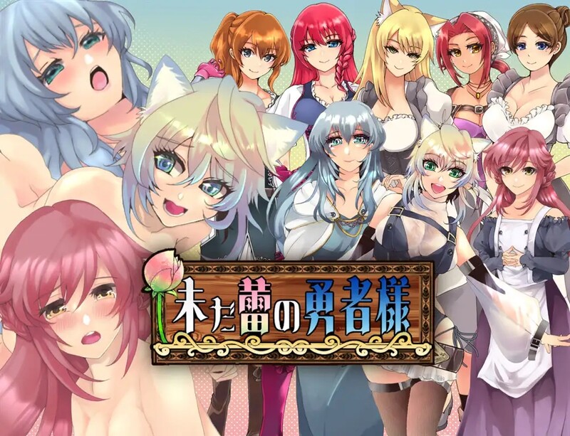 未开花的勇者大人（未だ蕾の勇者様）V 1.02 内嵌AI汉化版 双端 预览图