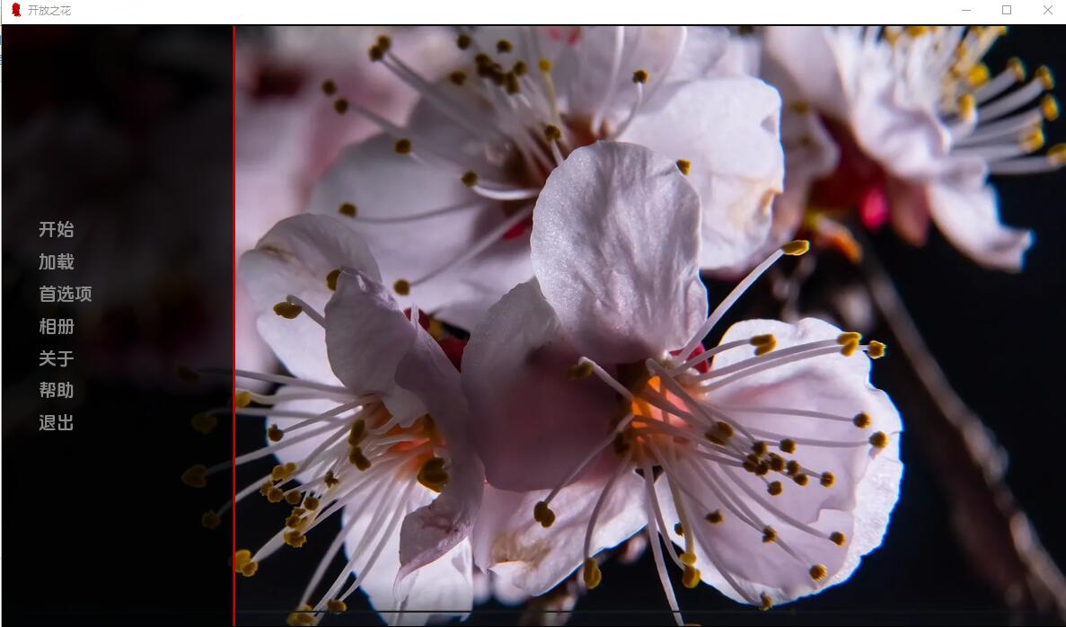 开花 开放之花 OpenFlower Final 双端 汉化版 预览图