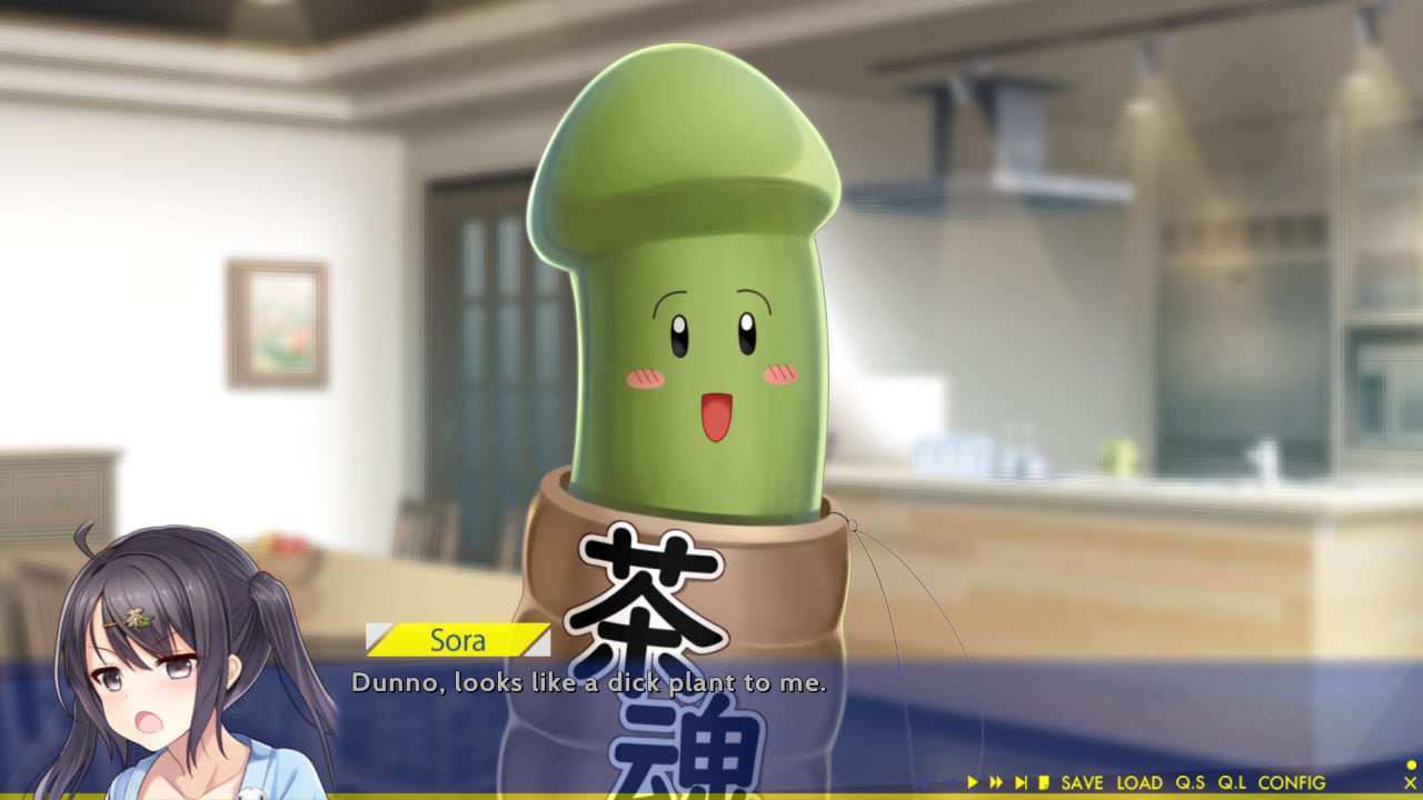 未来广播与人工鸽 Future Radio v1.05 官方中文版 PC端 官中版 预览图