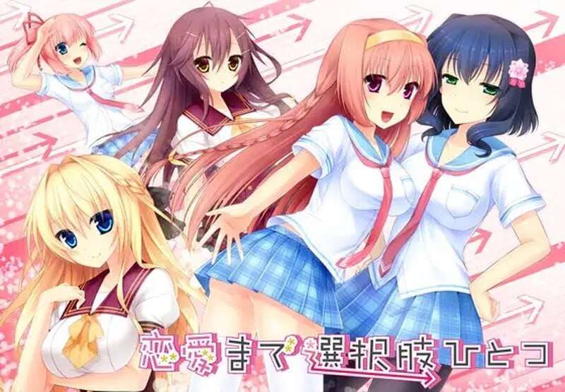 只有一种选择通往恋爱 恋愛まで選択肢ひとつ v1.0 PC端 AI汉化完整版 预览图