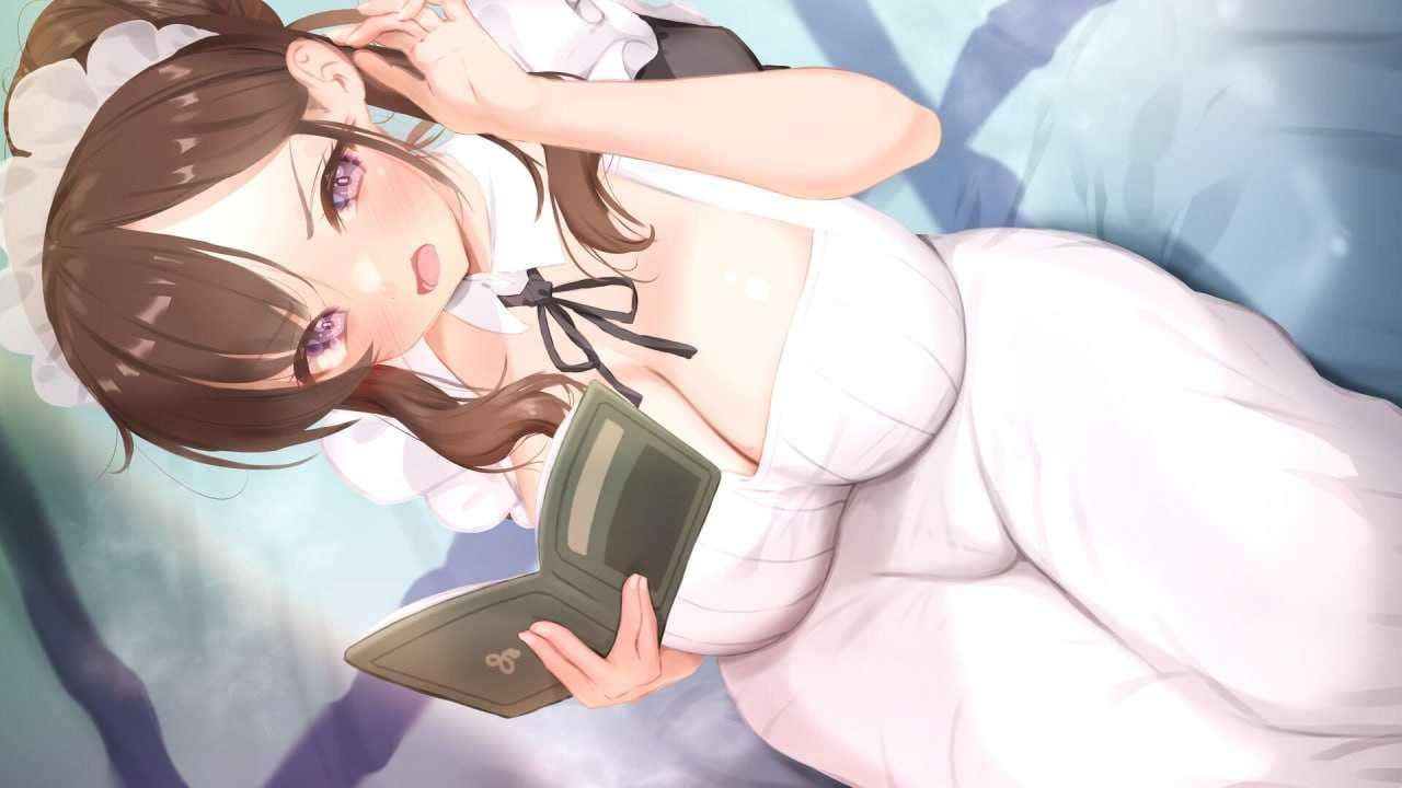 SLG动态官中--PC 妈妈为何这样 He Maid Her Fall v0.3.0 PC端 官中版 预览图