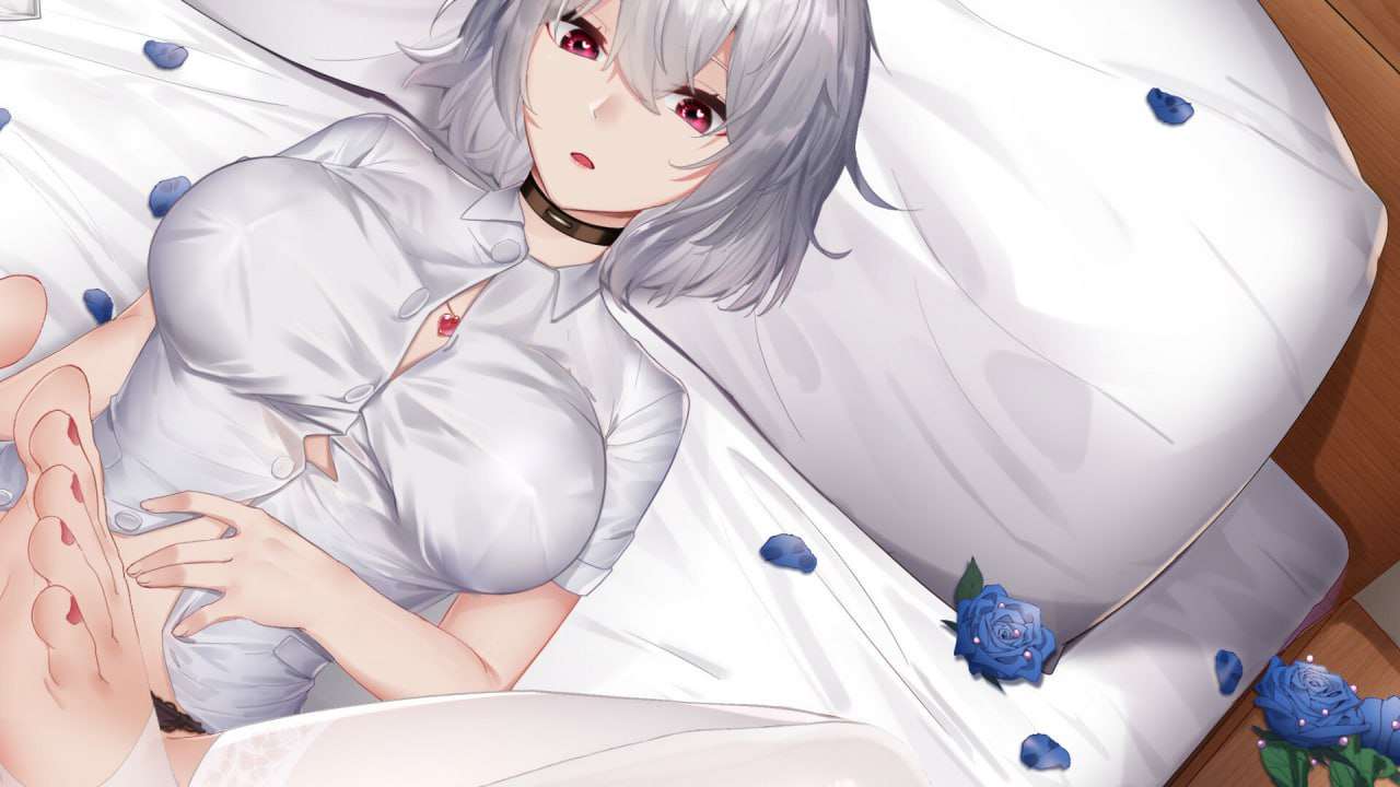 掉落玩偶 Drop Doll Steam官方中文版 PC端 官中更新版 预览图