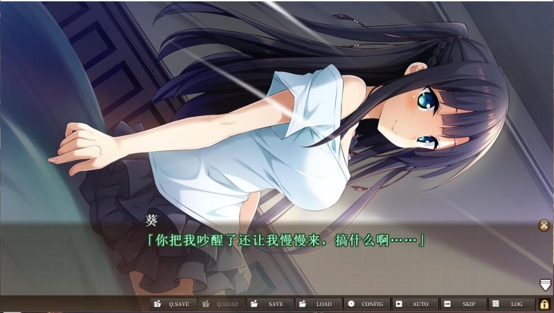 三千心世界，梦想将成真 V1.10 汉化硬盘版 PC端 汉化版 预览图