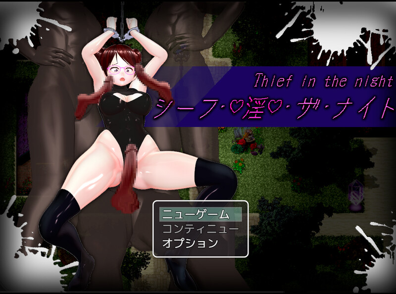 潜行RPG/拘束多P/动态2C 盗贼·淫·夜晚（シーフ・淫・ザ・ナイト）V1.0 机翻汉化 PC端 AI汉化版 预览图