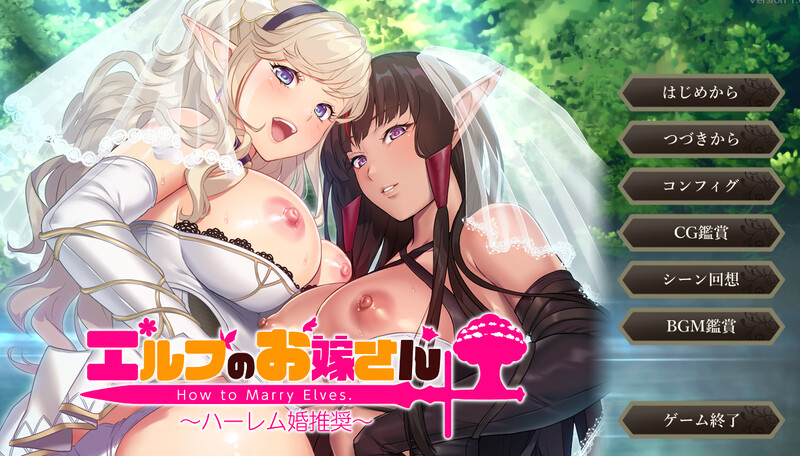 拔作ADV/2C 如何与精灵结婚~多角色关系结婚推奖（エルフのお嫁さん ～ハーレム婚推奨～）V1.0 PC端 AI汉化完整版 预览图
